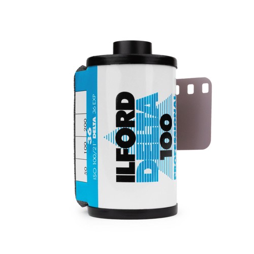 Ilford delta 100 135 - 100, s/w
